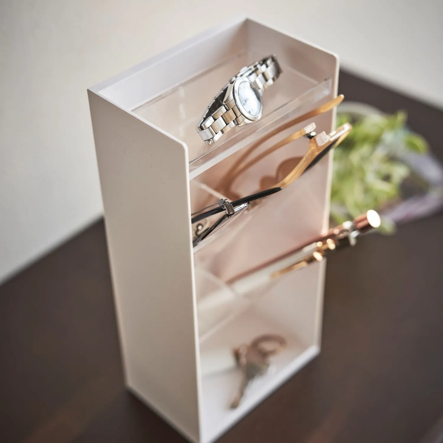 Accessory Organizer