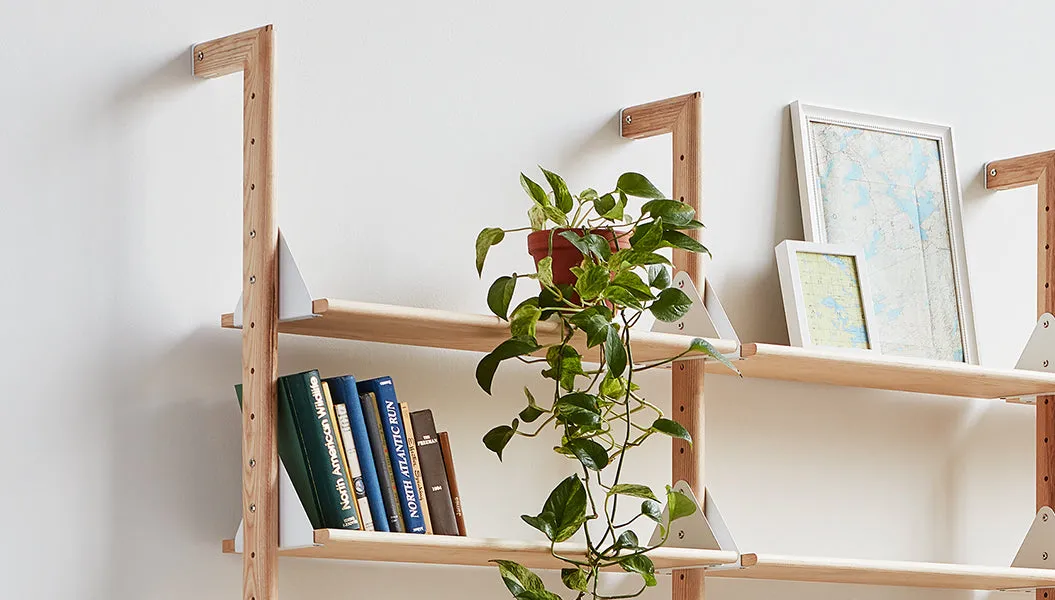 Branch-2 Shelving Unit