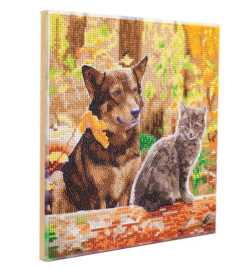 Crystal Art: Cat & Dog in the Woods