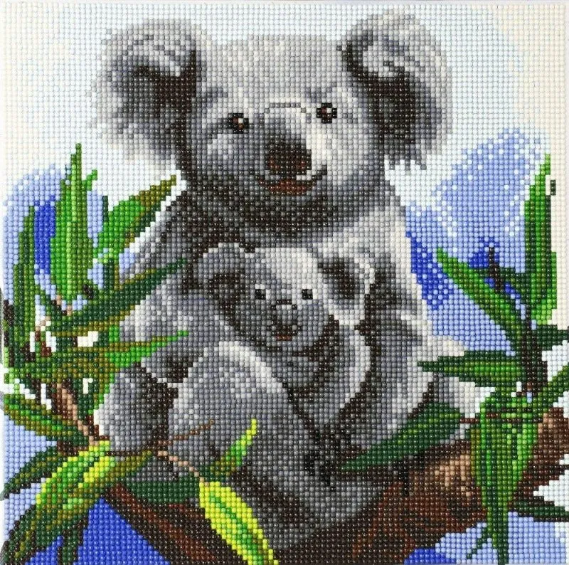 "Koala Bears" 30x30cm (Medium)